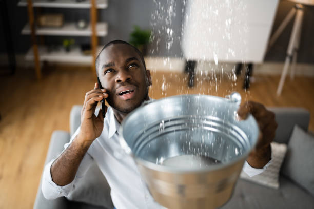 Best Flooded house restoration  in Eldersburg, MD