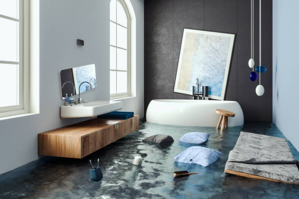 Best Water damage restoration near me  in Eldersburg, MD