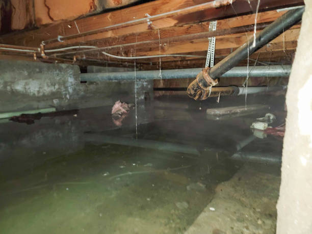 Best Ceiling water damage repair  in Eldersburg, MD