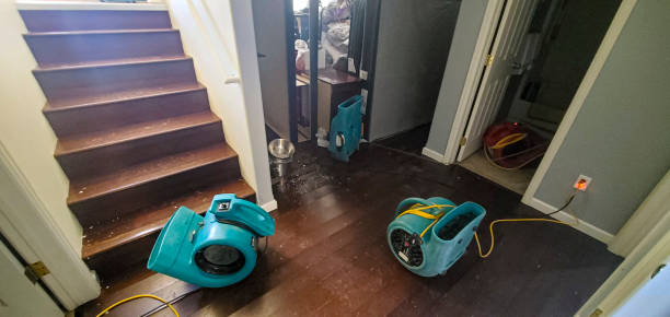 Reliable Eldersburg, MD Water damage restoration Solutions