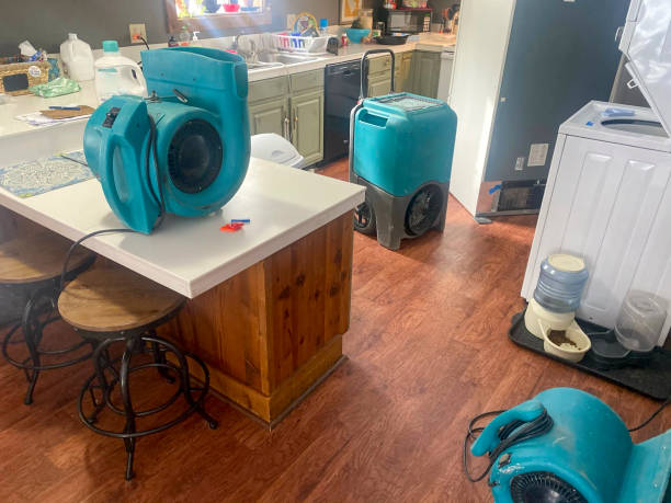 Best Carpet water damage restoration  in Eldersburg, MD