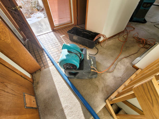 Best Basement water damage restoration  in Eldersburg, MD