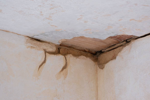 Best Flood restoration services  in Eldersburg, MD