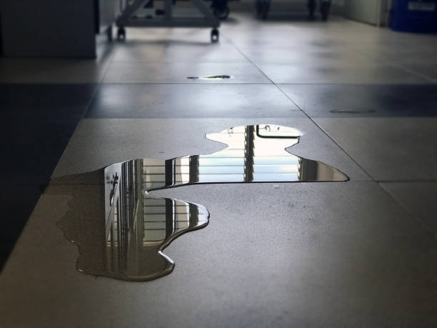 Best Professional water damage repair  in Eldersburg, MD