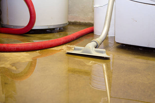 Best Commercial water damage restoration  in Eldersburg, MD