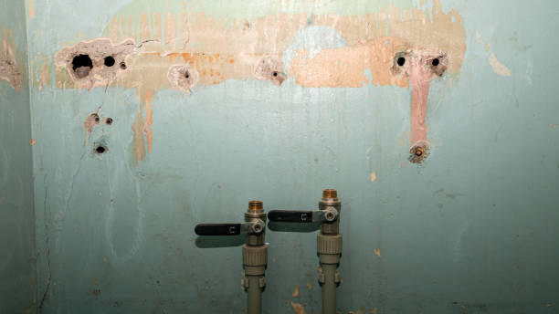 Best Ceiling water damage repair  in Eldersburg, MD