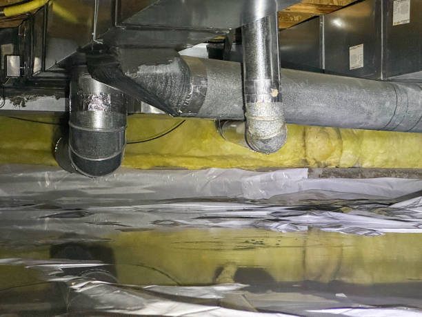 Best Water damage cleanup near me  in Eldersburg, MD