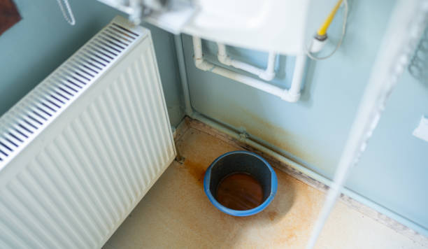 Best Water damage cleanup near me  in Eldersburg, MD