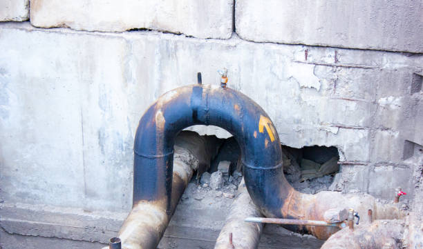 Best Water damage cleanup near me  in Eldersburg, MD