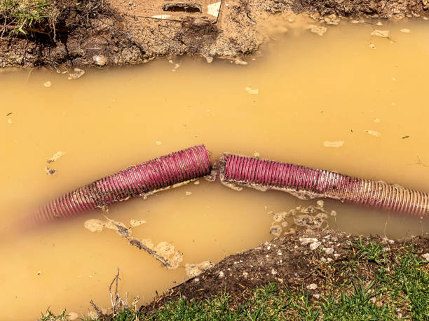 Reliable Eldersburg, MD Water damage restoration Solutions