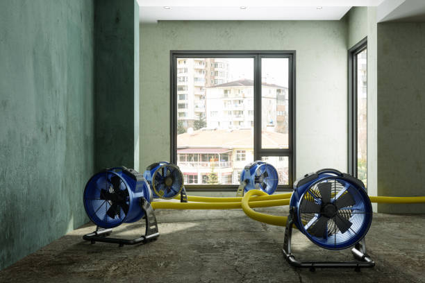 Best Water damage contractors near me  in Eldersburg, MD